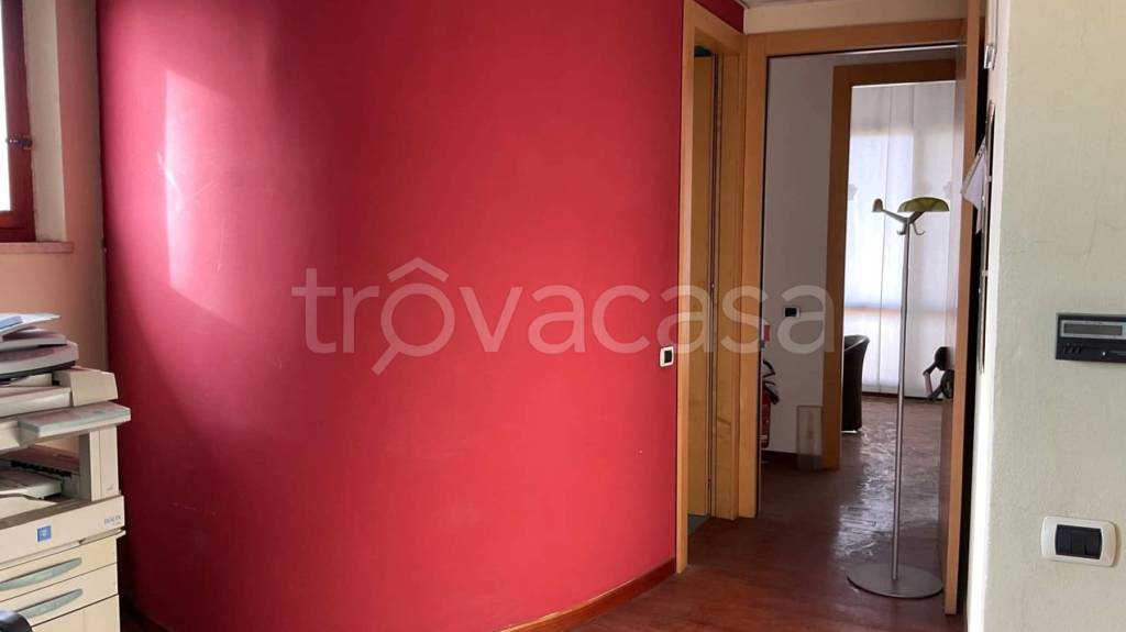 immagine annuncio 6 di 14