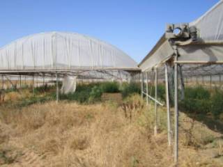 Terreno agricolo all'asta a sabaudia via migliara 56