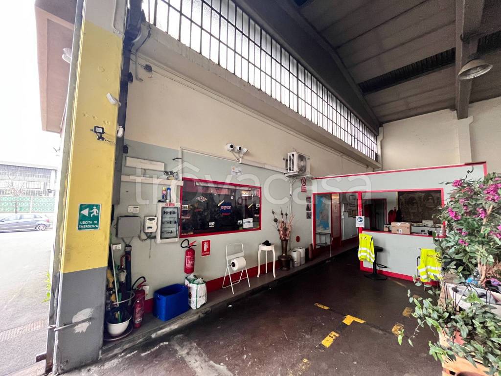 immagine annuncio 4 di 9
