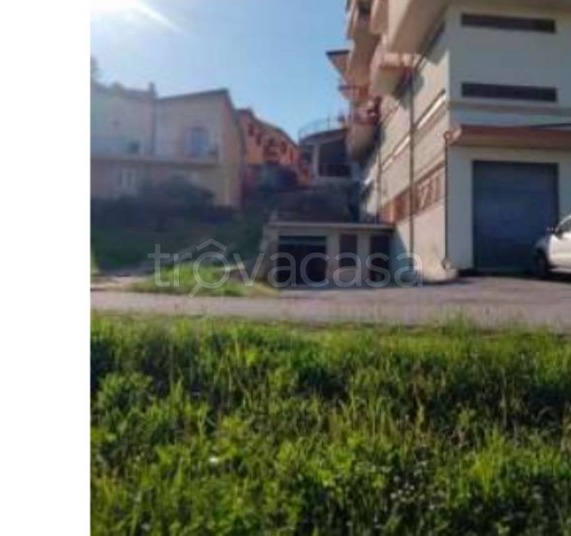 immagine annuncio 2 di 11