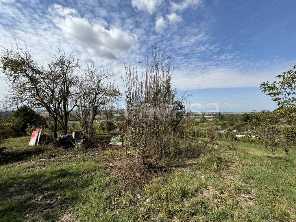 immagine annuncio 8 di 13