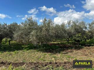 Terreno residenziale in vendita a canicattì via rinazzi