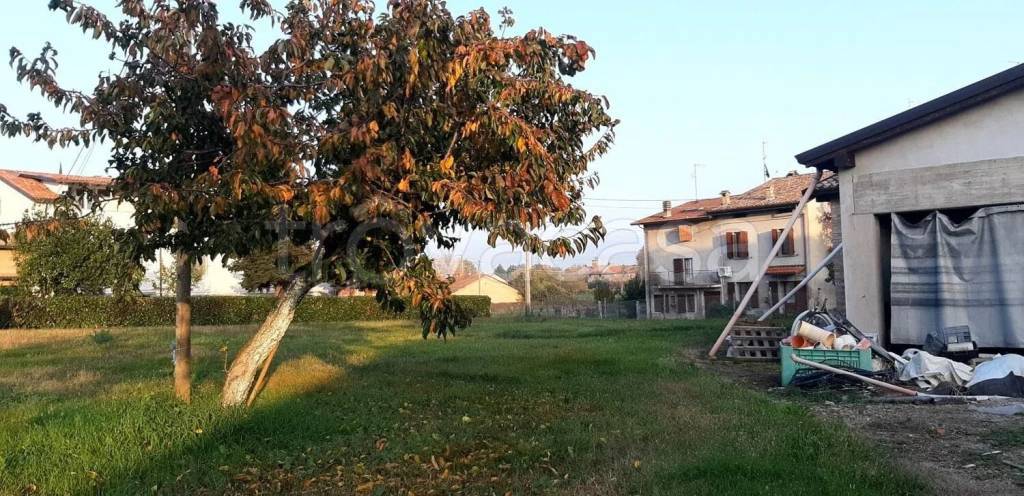 immagine annuncio 8 di 13