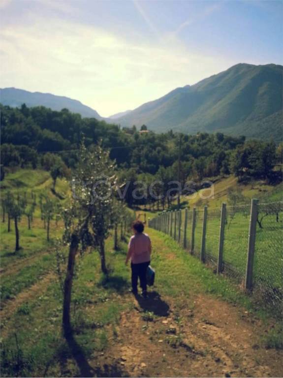 immagine annuncio 8 di 13