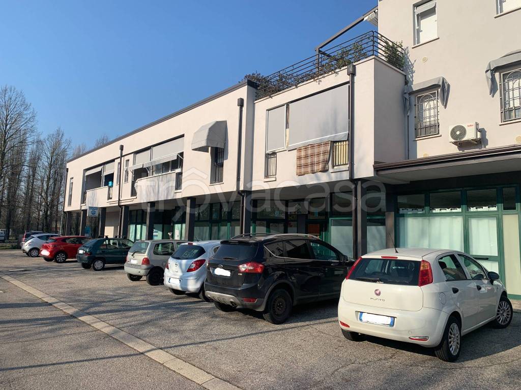 immagine annuncio 5 di 8