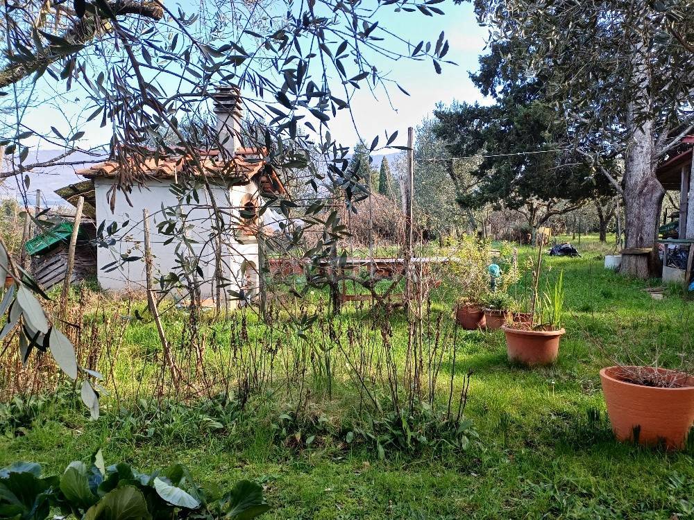immagine annuncio 11 di 14