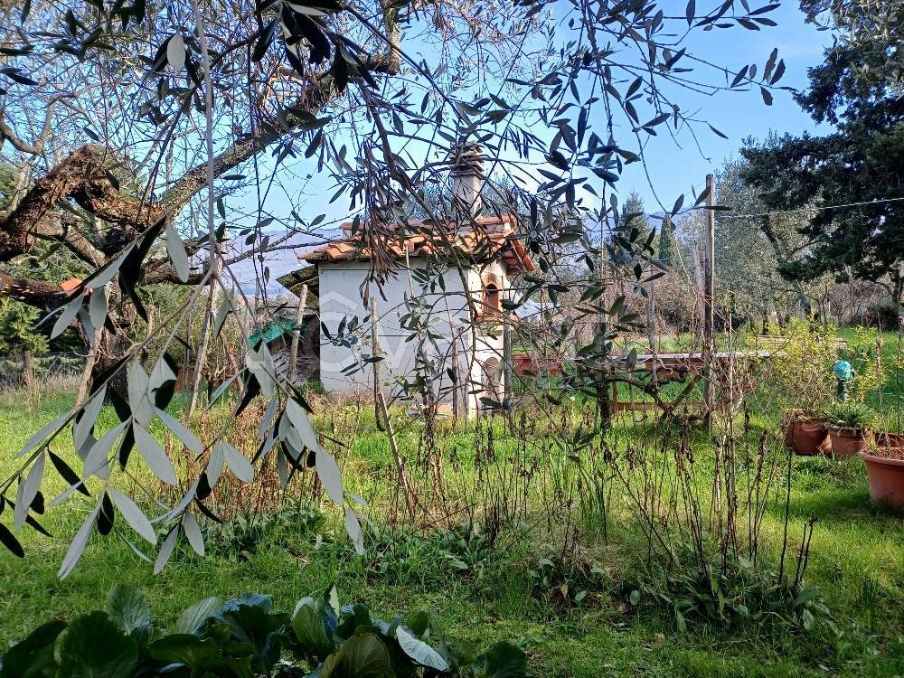 immagine annuncio 13 di 14