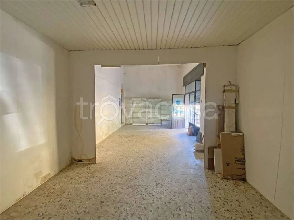 immagine annuncio 3 di 7