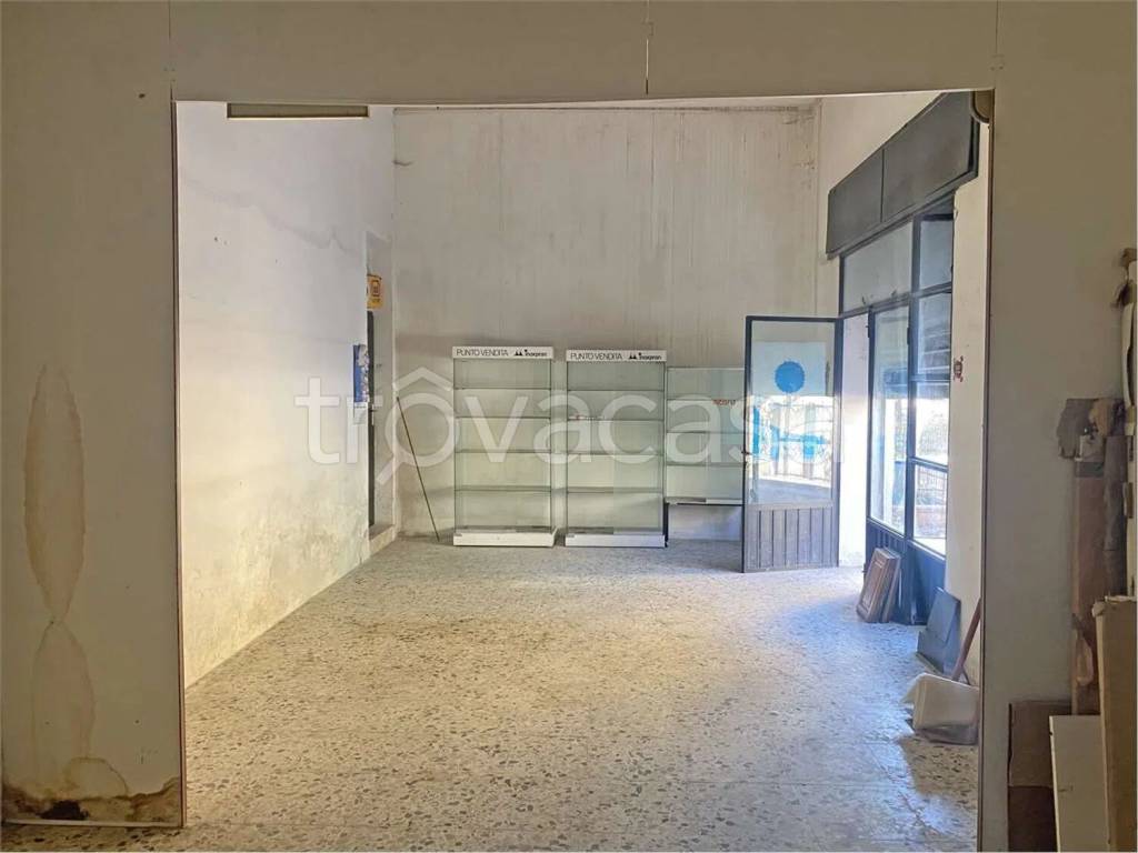 immagine annuncio 4 di 7