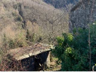 Terreno agricolo all'asta a zeri sp37