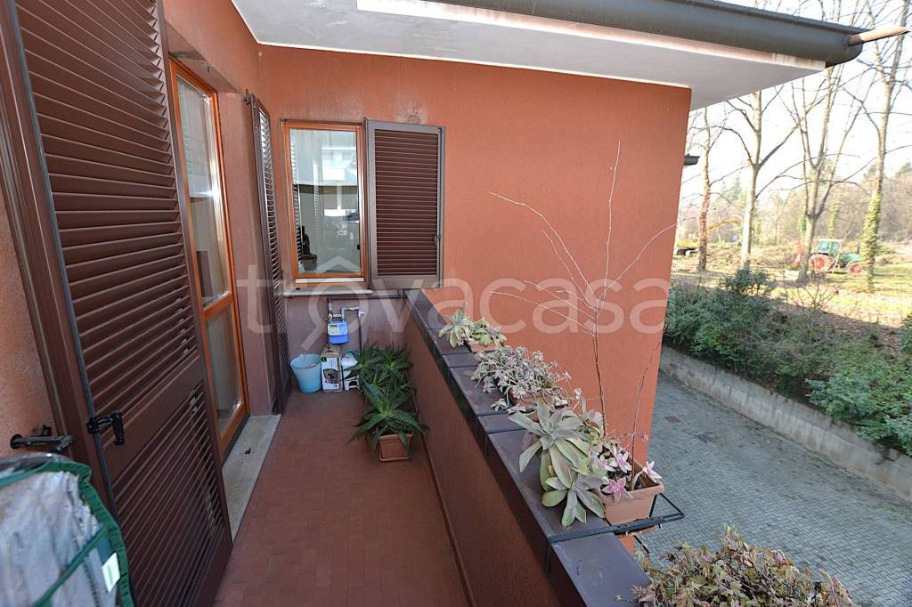 immagine annuncio 5 di 15