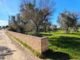 Terreno agricolo in vendita a porto cesareo via socrate