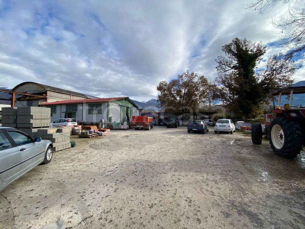 immagine annuncio 5 di 15