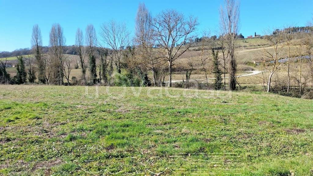 immagine annuncio 5 di 9