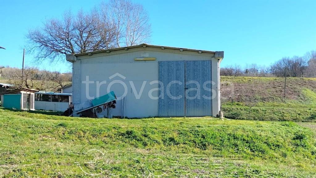 immagine annuncio 1 di 9