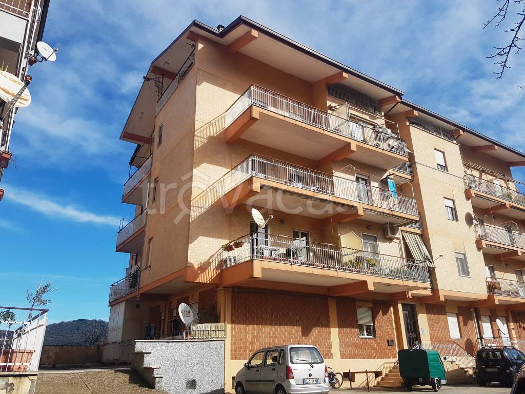 immagine annuncio 11 di 14