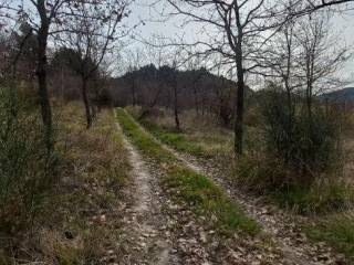 Terreno agricolo in vendita ad ancona via montesicuro