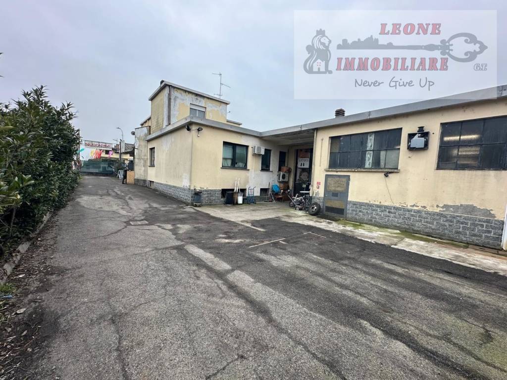 immagine annuncio 1 di 15
