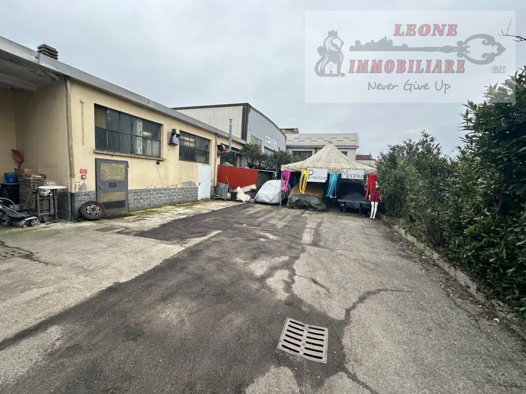 immagine annuncio 4 di 15