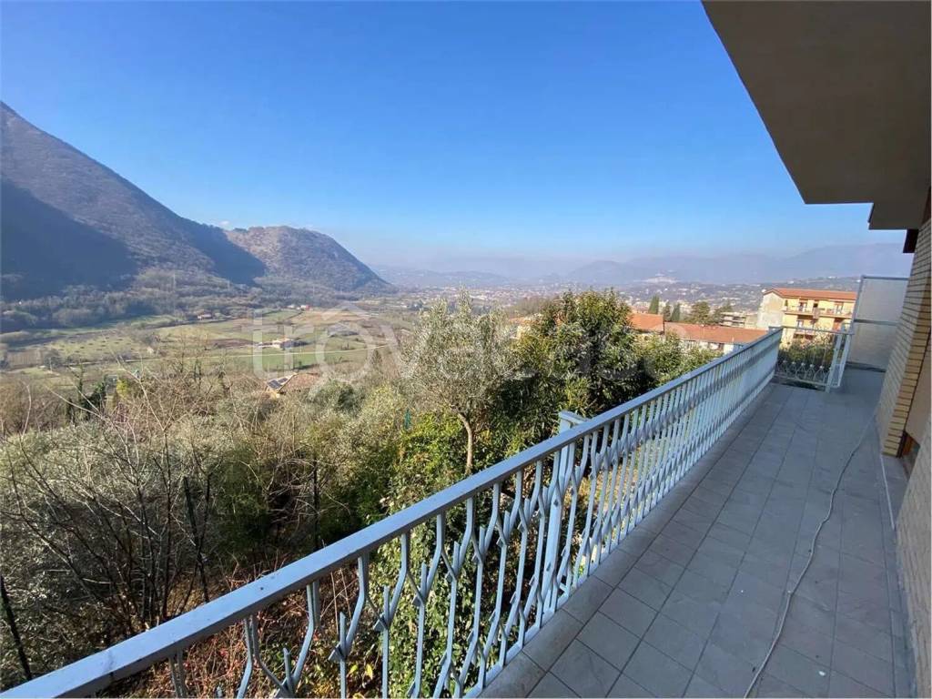 immagine annuncio 11 di 14