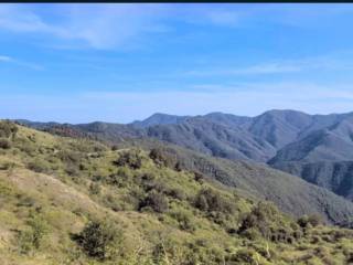 Terreno agricolo all'asta a zeri sp37