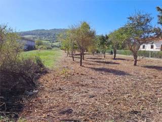 Terreno agricolo in vendita a castel di sangro località sant' angelo