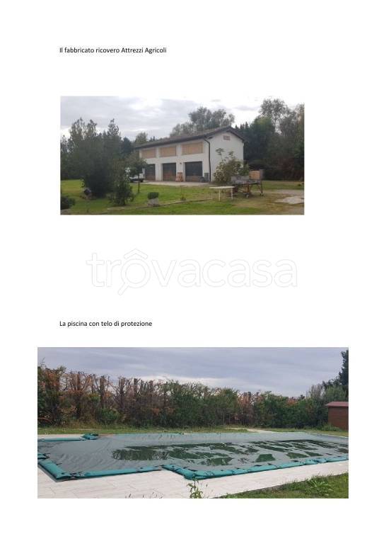 immagine annuncio 5 di 7