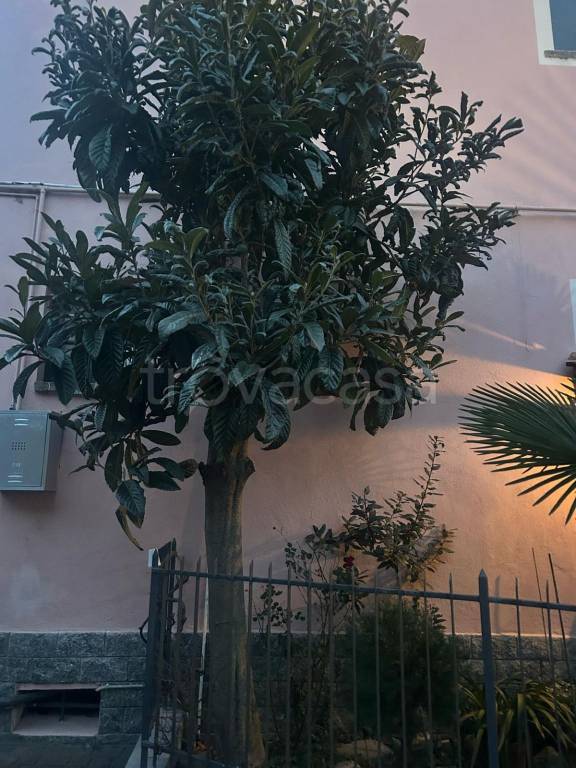 immagine annuncio 12 di 14
