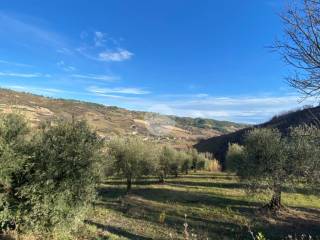 Terreno agricolo in vendita a ripatransone localita' colle di guardia