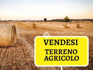 Terreno agricolo in vendita a bergamo 