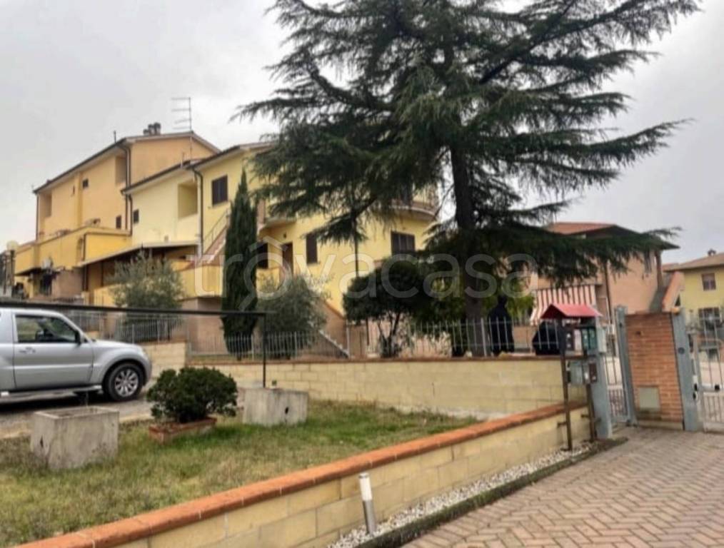 immagine annuncio 11 di 14