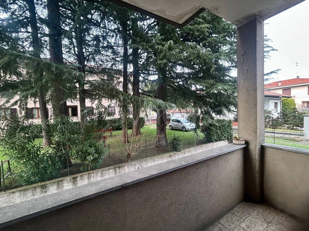 immagine annuncio 3 di 12