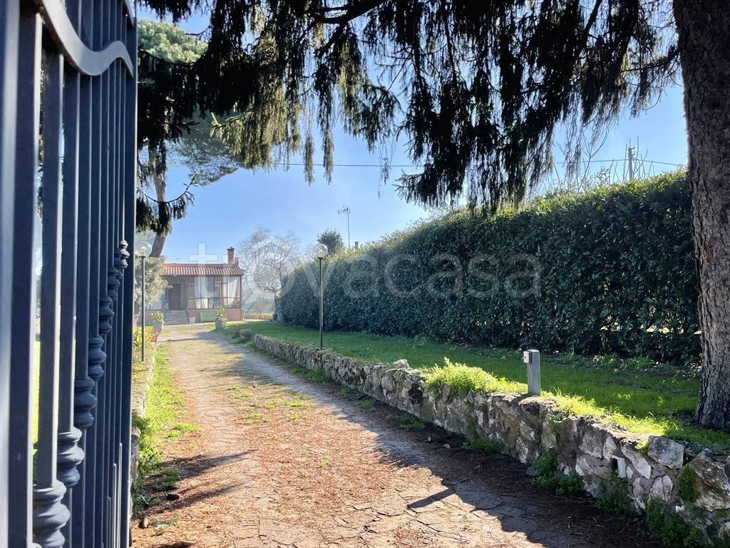 immagine annuncio 4 di 11