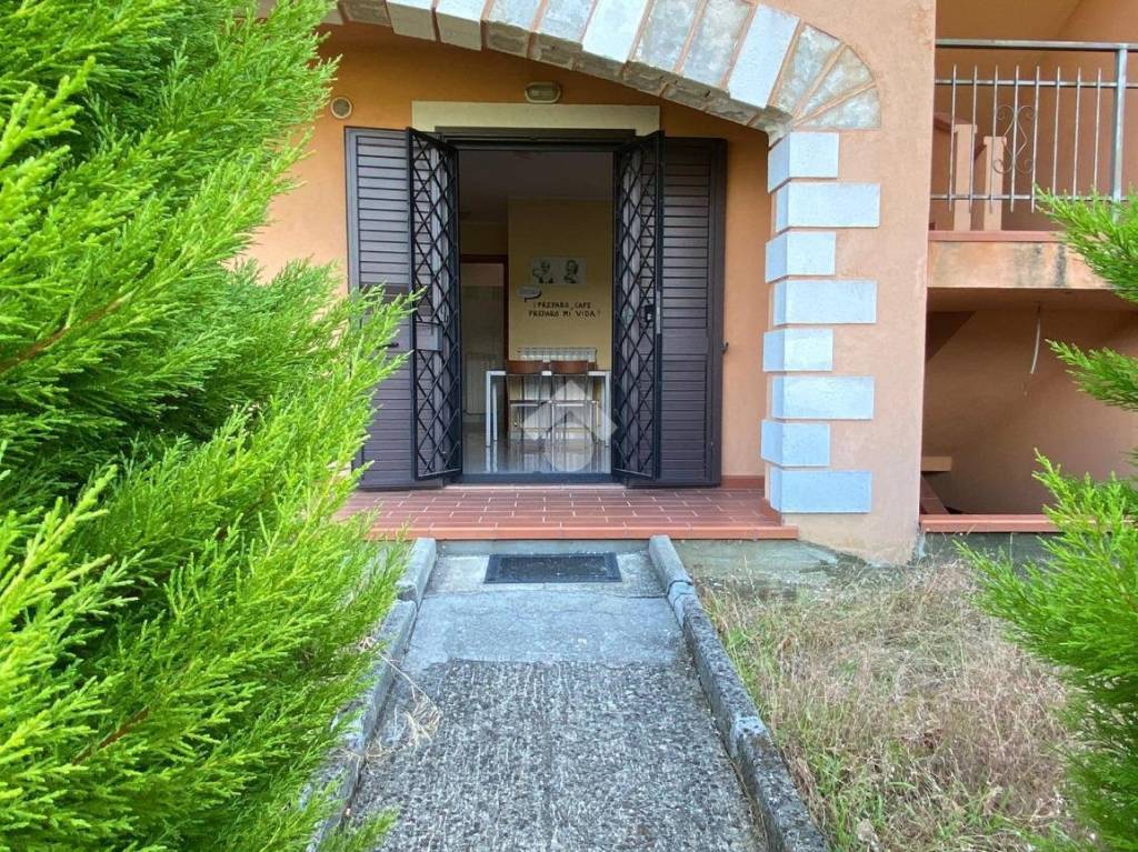 immagine annuncio 11 di 13