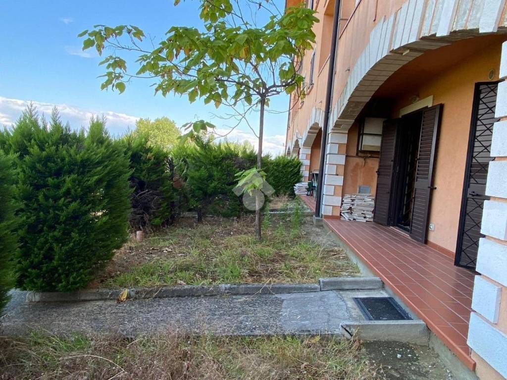 immagine annuncio 10 di 13