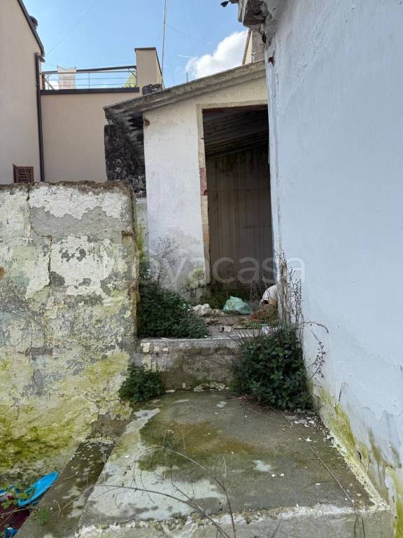 immagine annuncio 2 di 7
