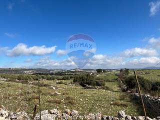 Terreno agricolo in vendita a ferla contrada campanio