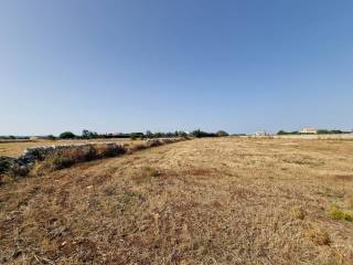 Terreno agricolo in vendita a porto cesareo via corsano, 16