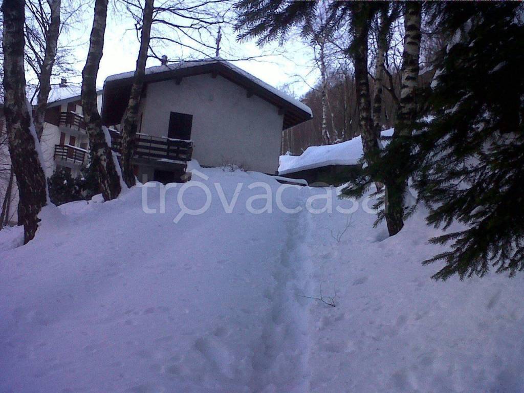 immagine annuncio 1 di 8