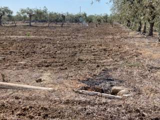 Terreno agricolo in vendita a paternò sp102i