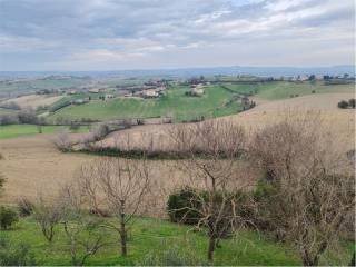 Appartamento in affitto a monte san giusto 