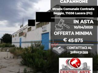 Capannone all'asta a lucera strada comunale contrada seggio, 71036 lucera fg, italia