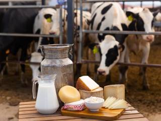 Azienda agricola in vendita a potenza 