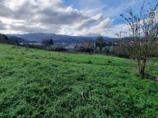 Terreno edificabile all'asta a vicchio via bianca bianchi