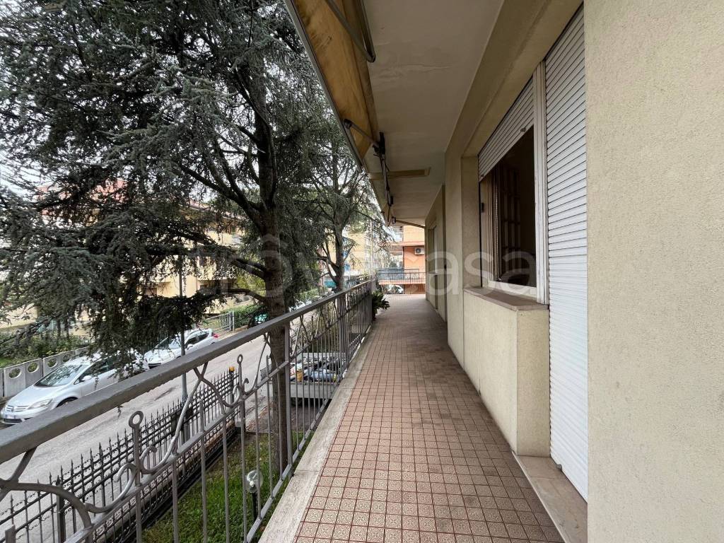 immagine annuncio 2 di 12