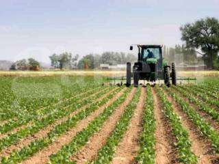 Terreno agricolo in vendita a correzzola 