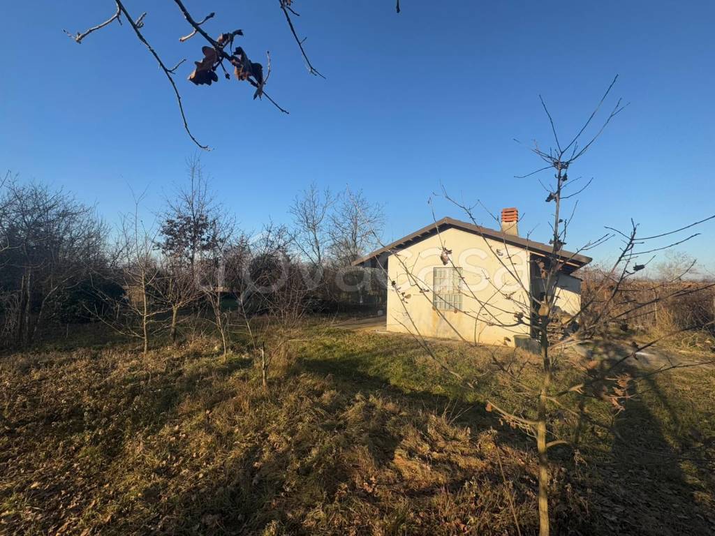 immagine annuncio 3 di 7
