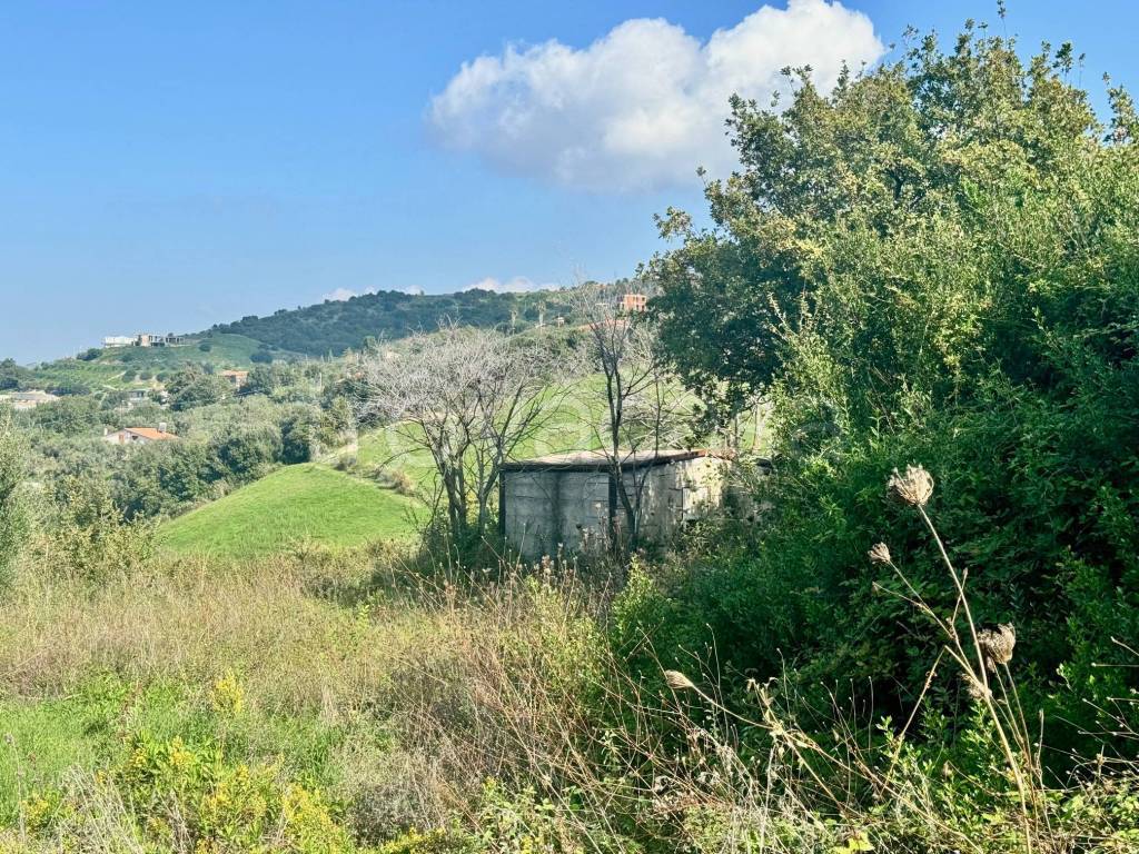 immagine annuncio 3 di 10
