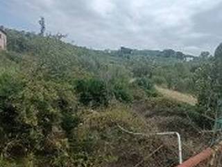 Terreno agricolo in vendita a castel madama colle dell'immagine s.n.c.