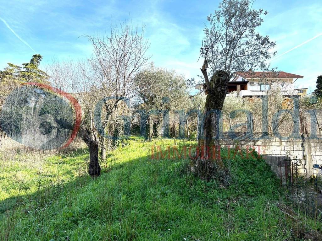 immagine annuncio 7 di 14